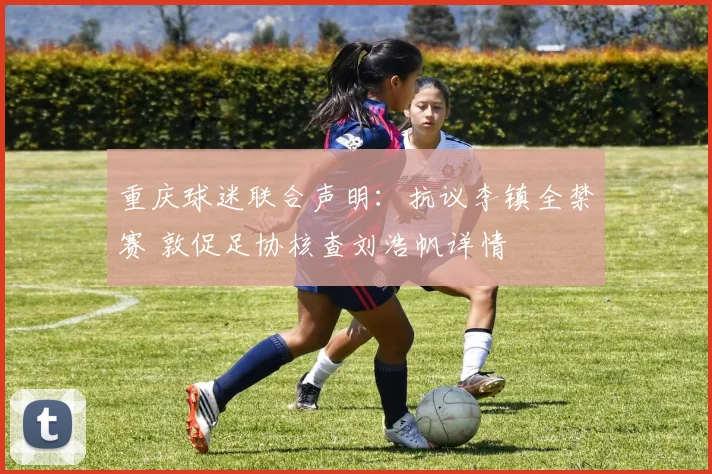 重庆球迷联合声明：抗议李镇全禁赛 敦促足协核查刘浩帆详情
