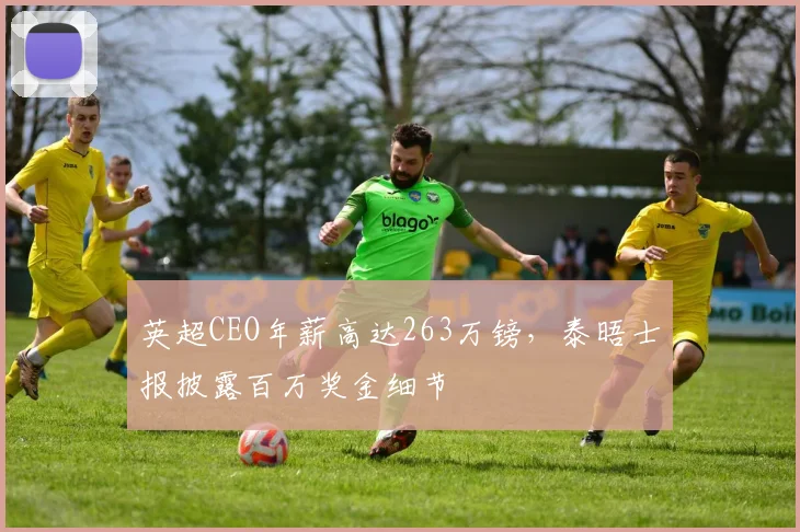 英超CEO年薪高达263万镑,泰晤士报披露百万奖金细节